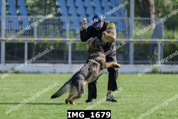 IMG_1679.jpg