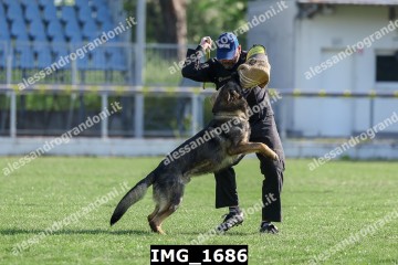 IMG_1686.jpg