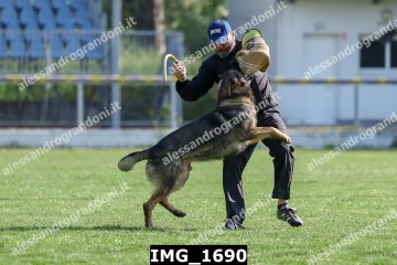 IMG_1690.jpg