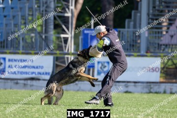 IMG_1717.jpg