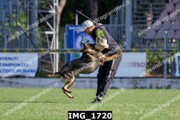 IMG_1720.jpg