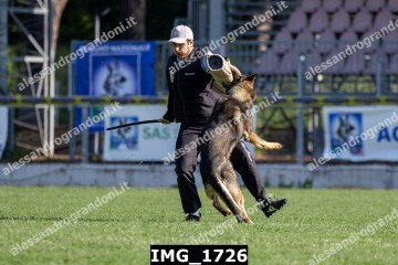 IMG_1726.jpg