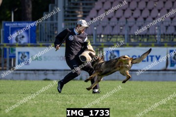 IMG_1733.jpg