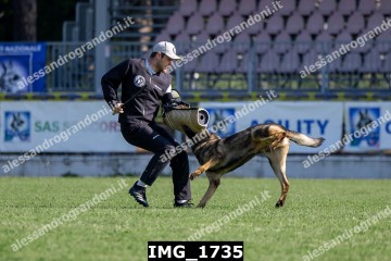 IMG_1735.jpg