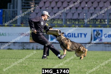 IMG_1740.jpg