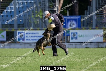 IMG_1755.jpg
