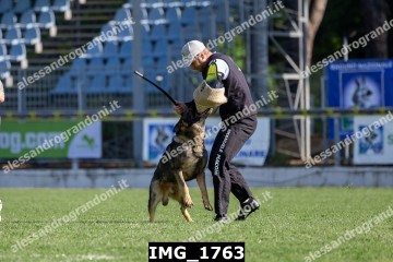 IMG_1763.jpg
