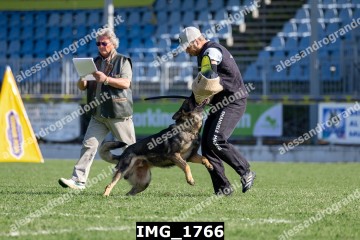 IMG_1766.jpg