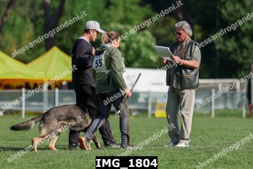 IMG_1804.jpg