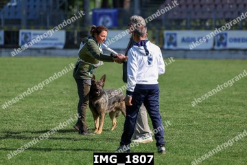 IMG_1807.jpg