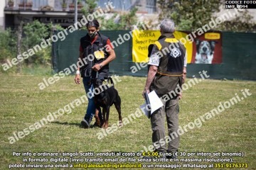 IMG_0094.jpg