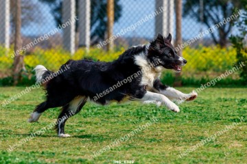 IMG_6349.jpg