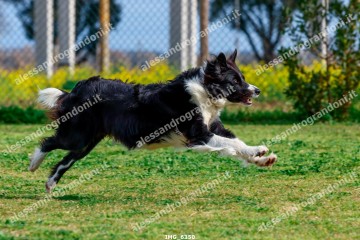 IMG_6350.jpg