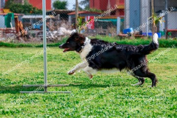 IMG_6374.jpg