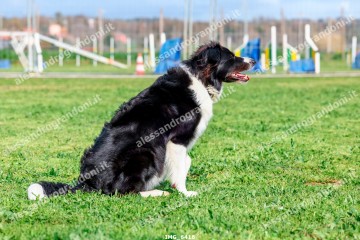 IMG_6416.jpg