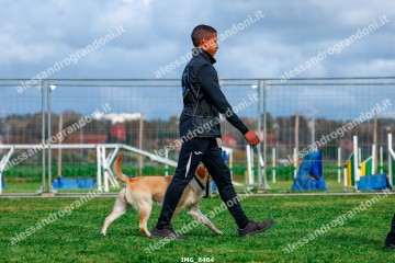 IMG_6464.jpg