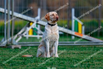IMG_6506.jpg