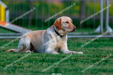 IMG_6515.jpg