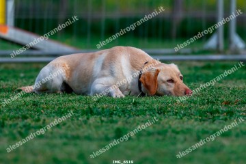 IMG_6519.jpg