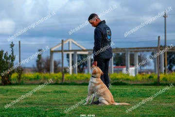 IMG_6549.jpg