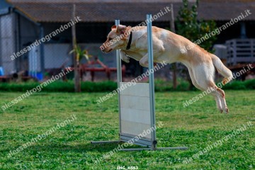 IMG_6553.jpg