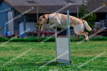 IMG_6555.jpg
