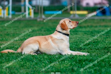IMG_6580.jpg