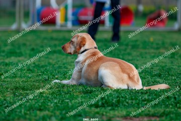 IMG_6600.jpg