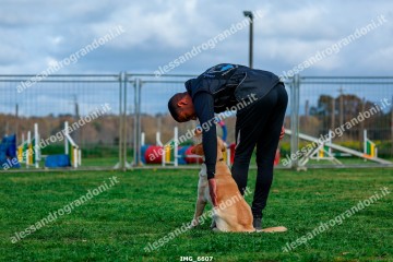 IMG_6607.jpg