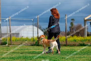 IMG_6661.jpg