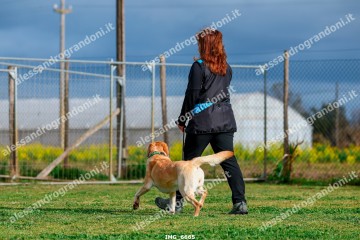 IMG_6665.jpg