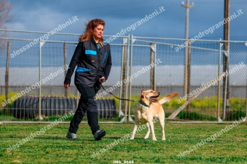 IMG_6669.jpg