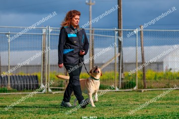 IMG_6673.jpg