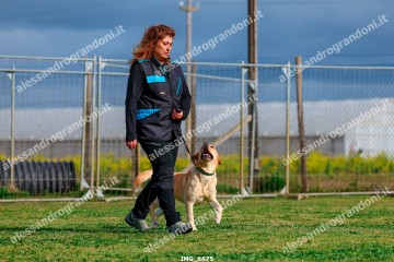 IMG_6675.jpg