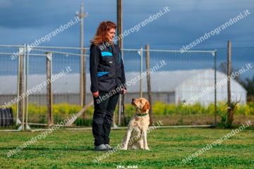 IMG_6688.jpg