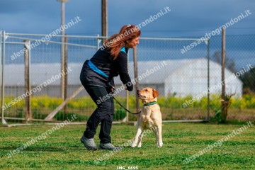 IMG_6695.jpg