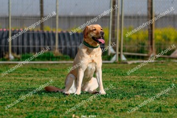 IMG_6707.jpg