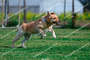 IMG_6731.jpg