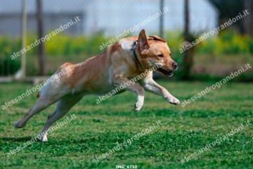 IMG_6732.jpg