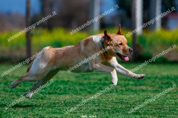 IMG_6742.jpg