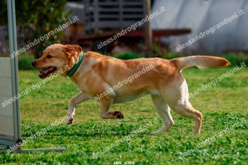 IMG_6755.jpg