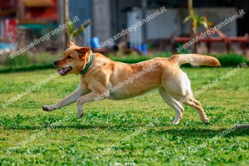 IMG_6766.jpg