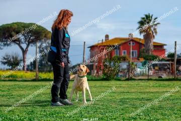 IMG_6777.jpg