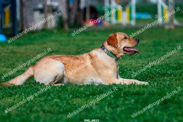 IMG_6815.jpg