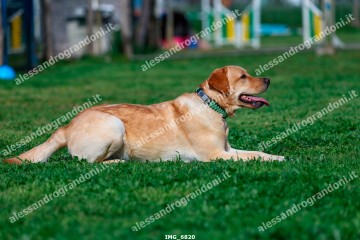 IMG_6820.jpg