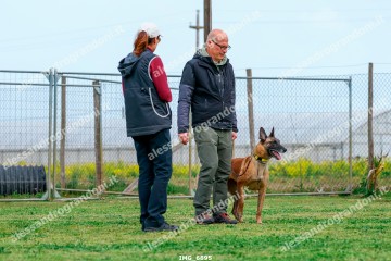 IMG_6895.jpg