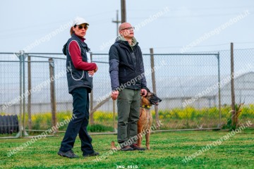 IMG_6910.jpg