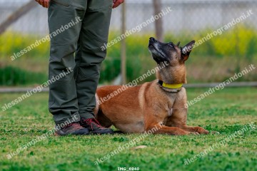 IMG_6940.jpg