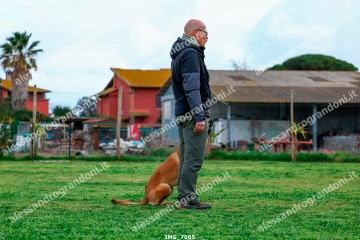 IMG_7005.jpg
