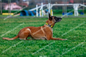 IMG_7014.jpg